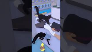 Kanga Cat Massage Little Kitty Big City Relaxation 😻🏙️ littlekittybigcity [upl. by Hyacinthie]