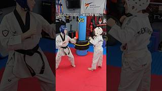 Blackbelt vs White Belt taekwondo martialarts blackbelt shorts [upl. by Philippa472]