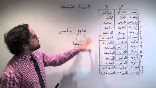 Arabic Grammar Using Ordinal Numbers in Arabic الأعداد الترتيبية [upl. by Elberta]