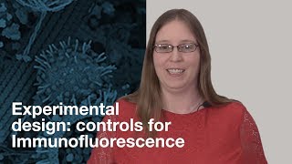 Experimental design what controls should I include for Immunofluorescence IF  CST Tech Tips [upl. by Marciano479]