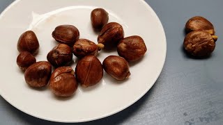 Breadnut Artocarpus camansi  eating foraged boiled Seedy Breadfruit [upl. by Ahron375]