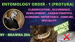 Apterygota order  Protura  BY  BHAWNA JHA [upl. by Ramey]