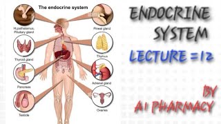 endocrine systemLECTURE 12  last lecture of endocrine system thank you so much [upl. by Arahsak188]