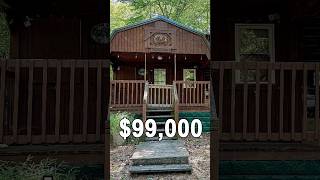 Secluded Cabin Retreat with Seasonal Creek on 10 Majestic Acres 99000 dreamcottage acreage [upl. by Keelin337]