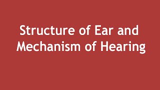 Structure of Ear and Mechanism of Hearing ENGLISH  Dr Shikha Parmar [upl. by Tnomed]