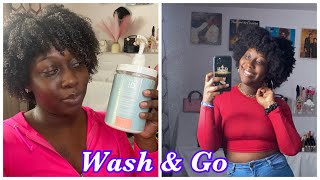 ONE PRODUCT Wash amp Go  Type 4 Hair [upl. by Ssor]