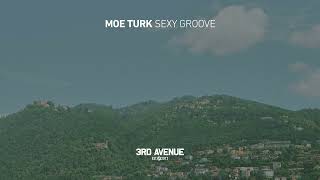 Moe Turk  Sexy Groove 3rd Avenue [upl. by Attelrak]