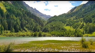 Musique Relaxante 3 Piano montagne forêt [upl. by Naerda]