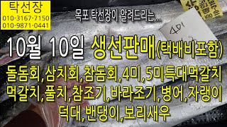 10월 10일 돌돔회 삼치회 참돔회 4미 5미 특대먹갈치 먹갈치 풀치 참조기 바라조기 파병어 자랭이 덕대 탁선장 목포 남도농수산 010 3167 7150 [upl. by Shenan648]