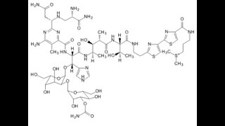 Bleomycin [upl. by Bernette]