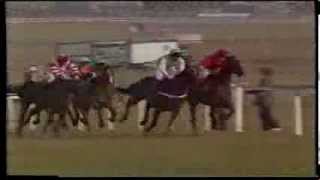 1986 Waterford Crystal Champion Hurdle Challenge Trophy [upl. by Hartmann27]