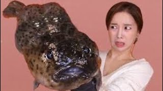 Mukbang 가장 못생긴 생 선 도치수육매운탕 The Most Ugly fish Pacific spiny lumpsucker ASMR [upl. by Riebling945]