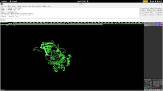 Preparing the receptor Autodock Vina Basics Tutorial [upl. by Labina]