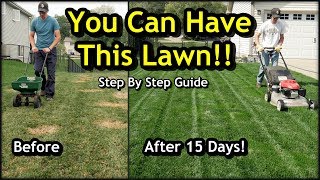 Fix an Ugly Lawn with Overseeding  Complete Step by Step Guide For Beginners [upl. by Farica]