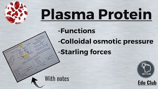 Plasma Proteins  Starling forces  Osmotic pressure  Blood Physiology [upl. by Acitel]