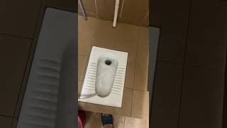 Johnson Suisse Squatting toilet on a HL Techplas Duratech Cistern [upl. by Niriam618]