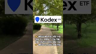 KODEX 한국부동산리츠인프라 24년 8월 배당 Update [upl. by Gaye]