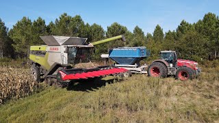 Ensemble dexception à la récolte de maïs  NEW Claas Lexion 8700  Capello 10 rangs [upl. by Kyrstin]