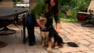 FURminator deShedding Tools for Dogs [upl. by Shel]