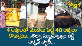 100 बीघा में बनी 5 स्टार गीर गाय गौशाला  Gir Cow Farm in Gujrat  Gir Cow Dairy Farm [upl. by Animlehliw196]