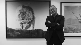 David Yarrow  The Untouchables  Galleri Fineart [upl. by Nileuqcaj]