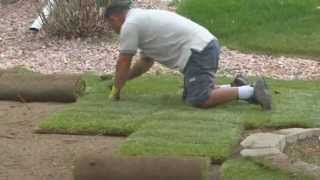 Video 2 Laying Sod [upl. by Sonstrom34]