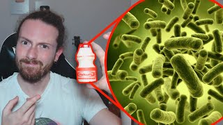 Coloquei Yakult no microscópio Os Lactobacillus tão VIVOS mesmo [upl. by Eerdna]