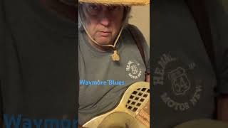 Waymore Blues cover blues guitar resonator [upl. by Allehs]