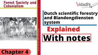 Dutch scientific forestry  blandongdiensten system  forest society and colonialism  class 9 [upl. by Delorenzo291]