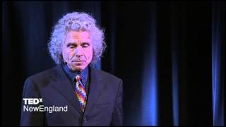 A History of Violence Steven Pinker at TEDxNewEngland [upl. by Nabatse]