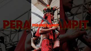 perang sampit [upl. by Sibylle]