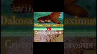 Dakosaurus vs Saltwater Crocodile edit paleontology crocodile [upl. by Aiyt]