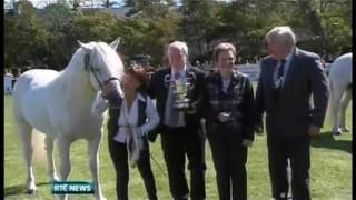 The 2011 Connemara Pony Show Clifden Ireland [upl. by Beaston]