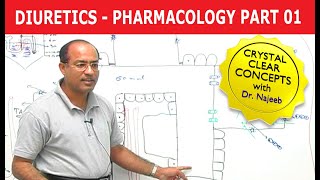 Diuretics  Pharmacology  Part 13 [upl. by Malvina690]