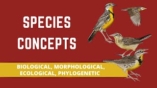 SPECIES CONCEPTS BIOLOGICAL MORPHOLOGICAL ECOLOGICAL PHYLOGENETIC [upl. by Lucas]