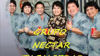 GRUPO NECTAR TU FALSEDAD [upl. by Sillek]