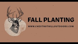 Fall Planting  Dunstan Chestnut [upl. by Nner]