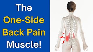 The OneSided Lower Back Pain Muscle  How To Release It For INSTANT Relief [upl. by Aznofla436]