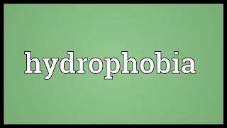 Hydrophobia Meaning [upl. by Nwadahs]