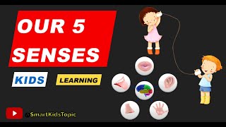 Interactive Lesson on Our 5 Senses for Kids Kids Learning Educational Video Smart Kids Topic [upl. by Vern275]