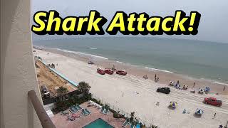 man bitten by shark daytona beach shores July 2024 [upl. by Afaw]