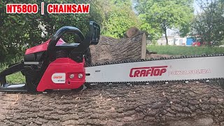 55cc Gasoline Chain Saw NT5800 with 16”24” Bar Length SemiPro Wood Cutting Tools chainsaw [upl. by Llenal565]