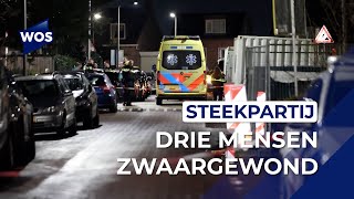 Steekpartij op straat in Honselersdijk [upl. by Kotz]