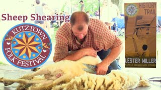 Chris Stitzel Shears A Sheep Like A Boss At The Folk Festival [upl. by Alathia]