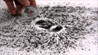 Magnetic Field Around Stack of Magnets With Iron Filings [upl. by Erised843]