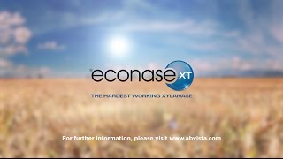 Econase XT  the hardest working xylanase [upl. by Ecirpak]