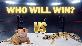 Crested Gecko VS Leopard GeckoWhich Is The Better Pet [upl. by Norahs]