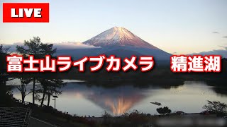 【LIVE】精進湖からの「富士山ライブカメラ」 quotmount fuji live cameraquot from Lake Shojiko [upl. by Enifesoj512]