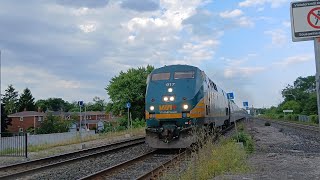 Railfanning at guildwood go Station via rail and go transit Action [upl. by Solracnauj]