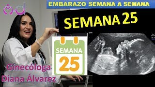 SEMANA 25 EMBARAZO SEMANA A SEMANA POR GINECOLOGA DIANA ALVAREZ [upl. by Leonhard]